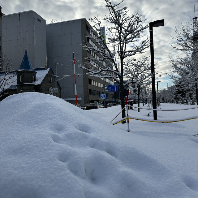 ☃️Odori Park สวนสาธารณะโอโดริ ในฤดูหนาว☃️❄️