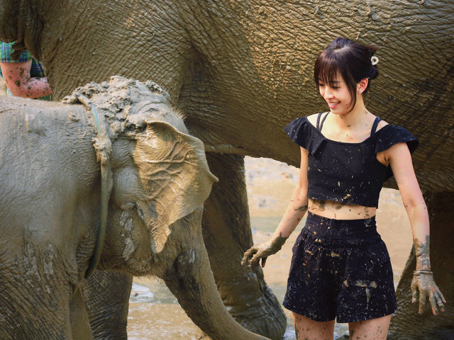 「清邁大象退休公園」：餵食、洗澡、親密互動，享受大自然的綠意