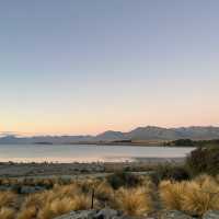 紐西蘭🇳🇿蒂卡波湖 自己稱之為少女湖💖