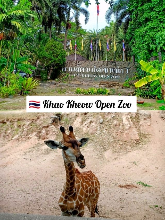 🇹🇭 Khao Kheow Open Zoo