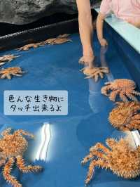 たった900円？！超絶楽しい水族館