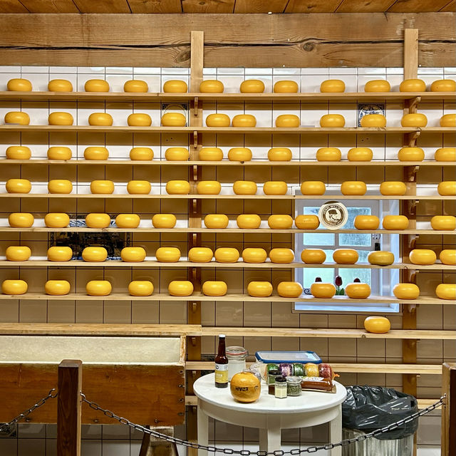 네덜란드 전통 치즈의 모든 것, Catharina Hoeve🧀