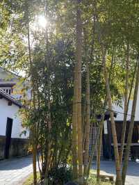 【広島　竹原】御茶処　しろ