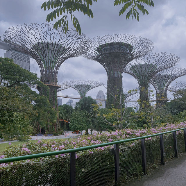 Garden by the bay 