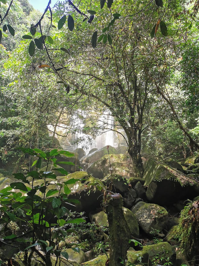 Curtain Waterfall