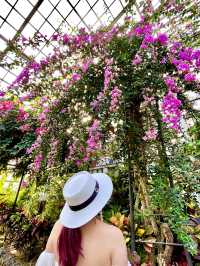 【栃木・花巡り】鮮やかな神秘の花！ヒスイカズラを楽しめるとちぎ花センター