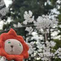 新倉富士淺間神社