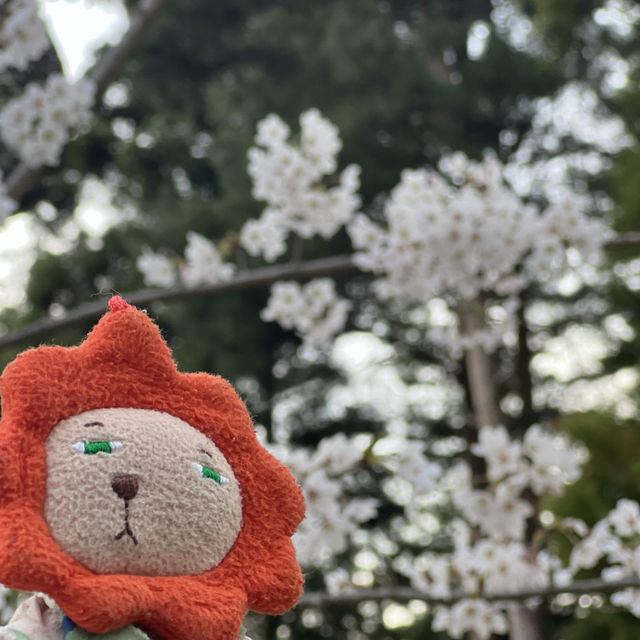 新倉富士淺間神社