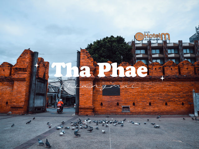 Tha Phae ประตูท่าแพ จังหวัดเชียงใหม่