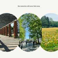 「大阪鶴見綠地公園：城市仙境，戶外康體樂」
