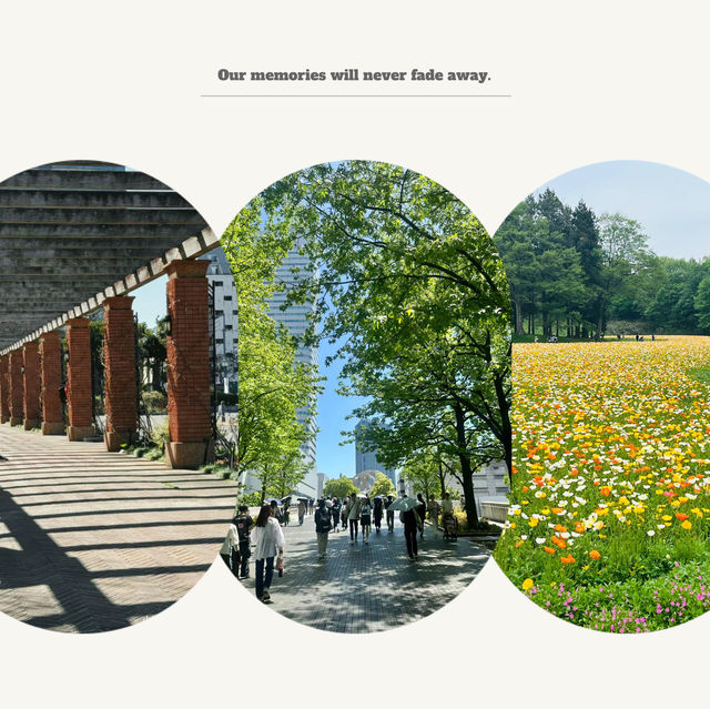 「大阪鶴見綠地公園：城市仙境，戶外康體樂」