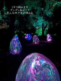【大阪】自然とART 野外ミュージアム チームラボ🌳ボタニカルガーデン🌳