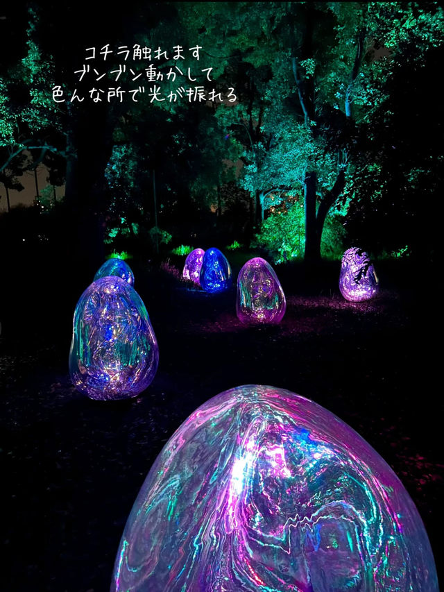 【大阪】自然とART 野外ミュージアム チームラボ🌳ボタニカルガーデン🌳