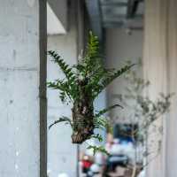 「福岡亞洲美術館：絢爛藝術品，深度體驗亞洲文化」