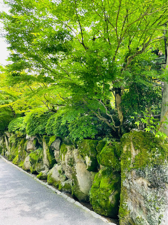 【京都府】東山観光で外せない観光スポット「ねじりまんぽ」