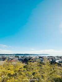 【神奈川/鎌倉】お寺の中にある絶景カフェ