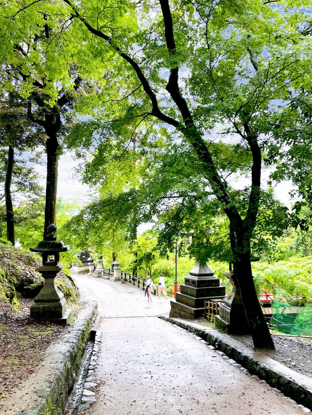 【京都府】伏見稲荷大社の一番の見どころ「千本鳥居」