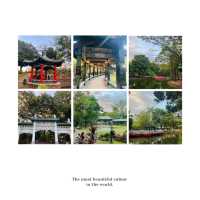 【林口公園】傳統園林😌自然景緻