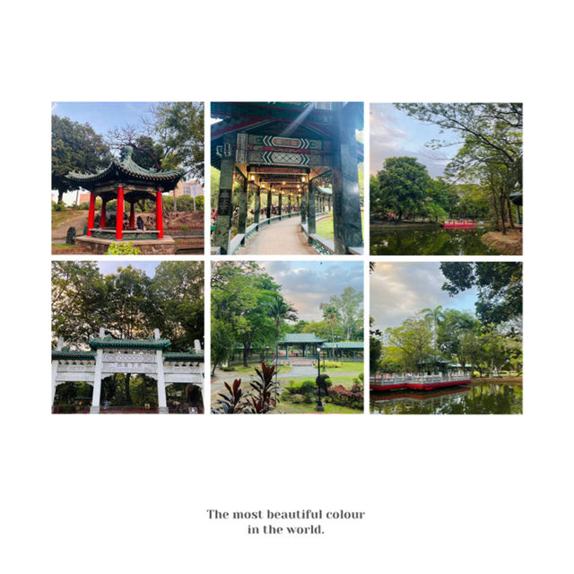【林口公園】傳統園林😌自然景緻