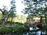 【日本🇯🇵廣島縮景園之二】：除了賞櫻🌸，還有很多其他花卉🌸🪻🌼🪷可欣賞啊‼️