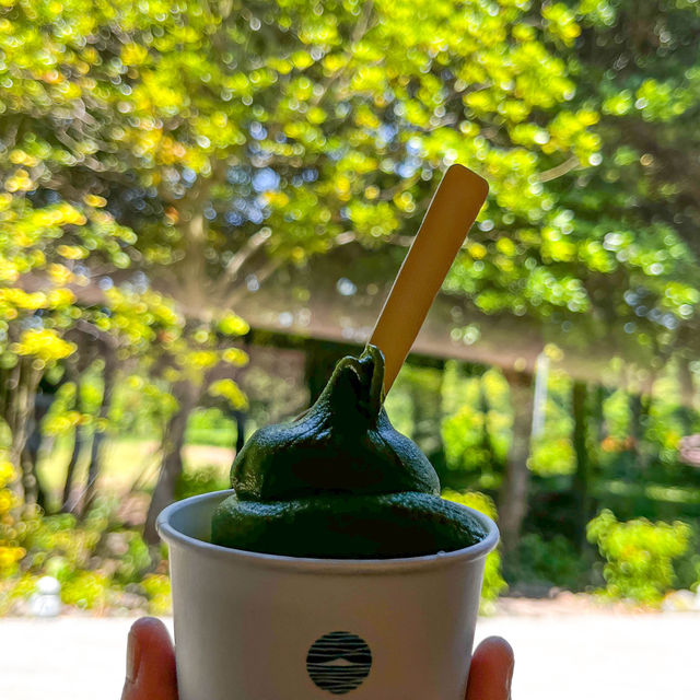 일상에서 떠나 제주
