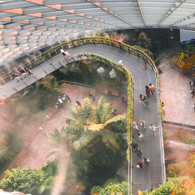 A Magical Escape to Cloud Forest, Singapore 🌿