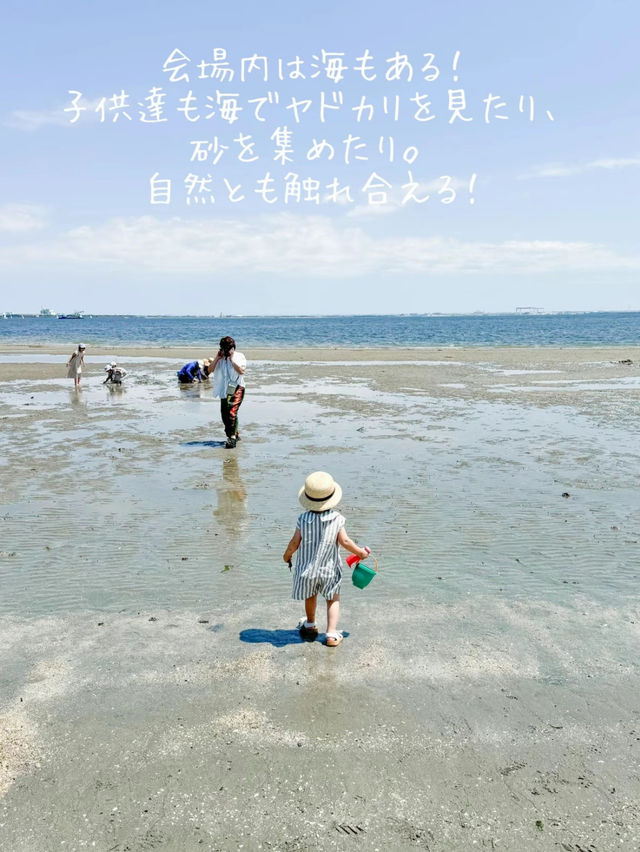 愛知のオシャレフェス！豪華アーティストが出るのにチケット5000円で破格！子連れにもオススメ！
