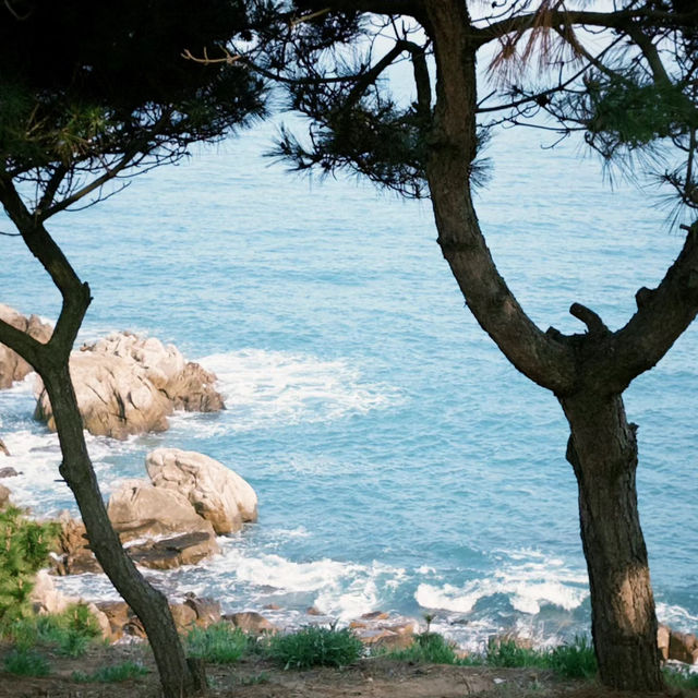 「沖繩真榮田岬：壯麗海景，流連忘返」