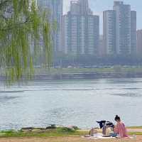 서울 피크닉명소 노들섬🏝️편의시설 잘되있는 복합문화공간 추천