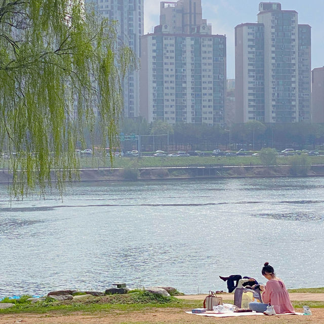 서울 피크닉명소 노들섬🏝️편의시설 잘되있는 복합문화공간 추천