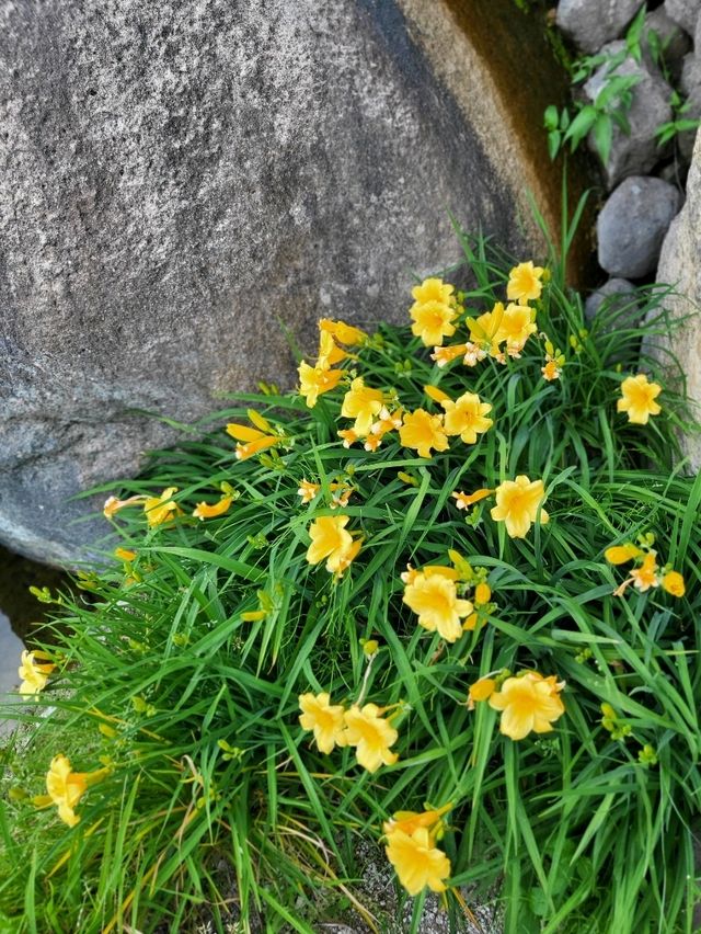 봄나들이 가기 딱인 부산근교 정원카페🧡