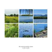 「白登河濕地公園：春季賞花，戶外活動的絕佳去處」