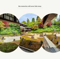 【2024春】龍台院：石頭、沙石、苔蘚打造的禪意枯山水庭園，適合春天遊玩