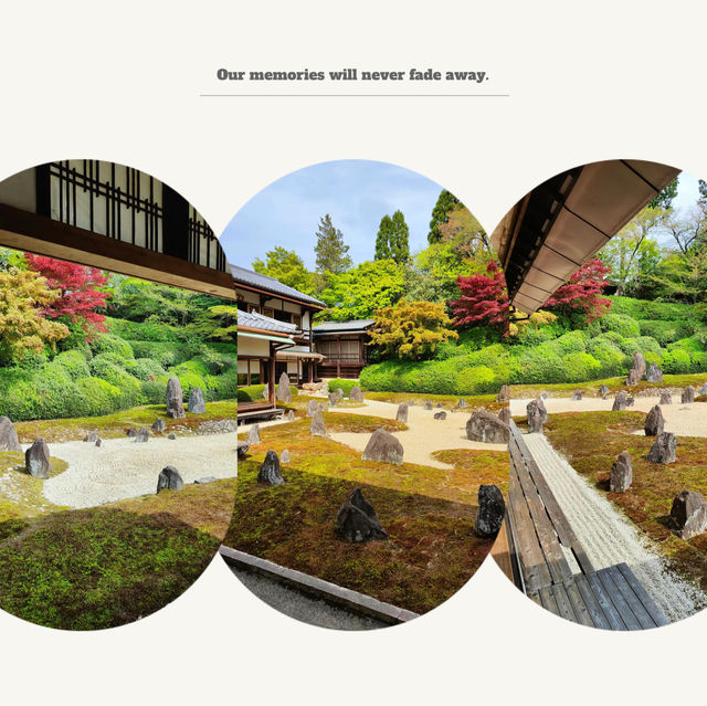 【2024春】龍台院：石頭、沙石、苔蘚打造的禪意枯山水庭園，適合春天遊玩