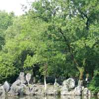 「2024年春天好去處：人民公園花海，歷史底蘊與園林風光」
