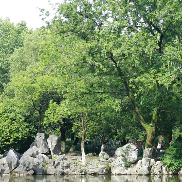 「2024年春天好去處：人民公園花海，歷史底蘊與園林風光」