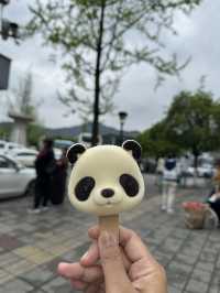 Chengdu 🐼Panda  Selfie🏡