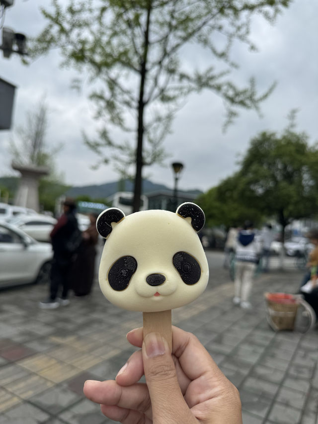 Chengdu 🐼Panda  Selfie🏡