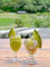【三重・志摩】🍈メロン農家が作る、完熟メロンづくし