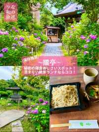 〜神奈川県〜秘密にしてた鎌倉穴場スポット🍽️重要文化財で贅沢ランチ🍽️