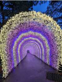 Garden of Morning Calm 
