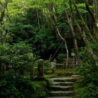 「增上寺：東京歷史寺廟，不容錯過！」