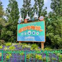 Shanghai Disney land