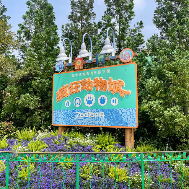 Shanghai Disney land