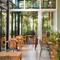 ☕ Plantnery Green Cafe
