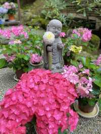 一度は訪れたい美しき花の寺💠💐🌿@奈良・岡寺