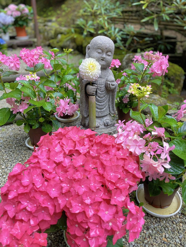 一度は訪れたい美しき花の寺💠💐🌿@奈良・岡寺