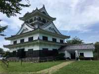 城山公園自然與歷史之美：館山市綠色天堂