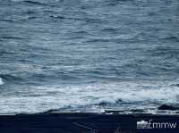 Umihotaru 🌊 ウミホタル