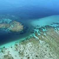 Chopper ride reef magic